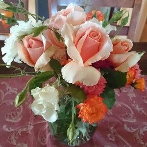 Meet your Posher, Lacey